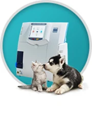 Ветеринария