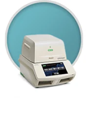 Полимеразная цепная реакция (ПЦР)